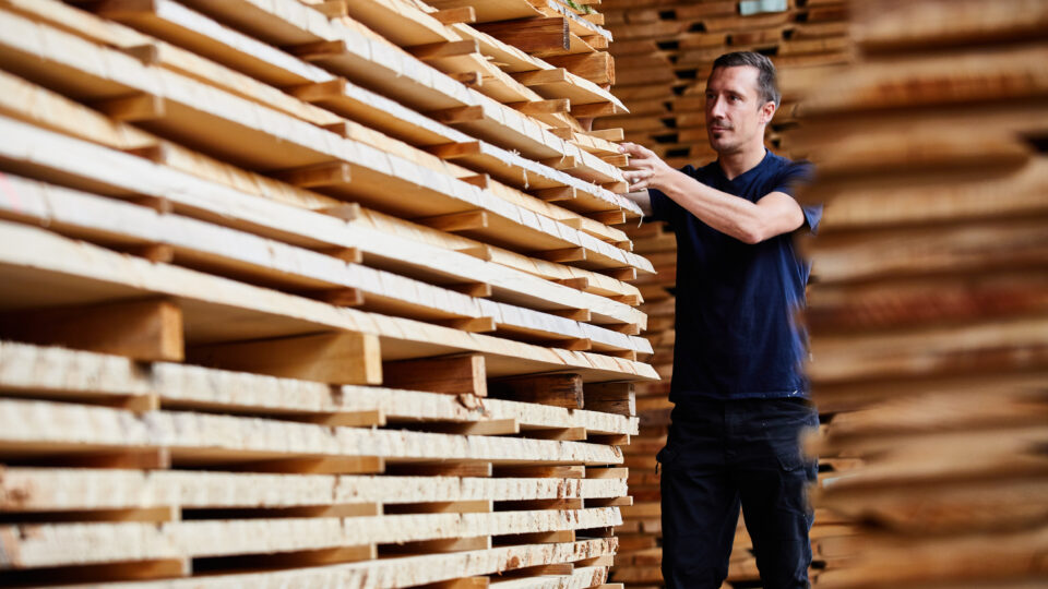 Ein Mitarbeiter von Haba prüft die Qualität des Holzes